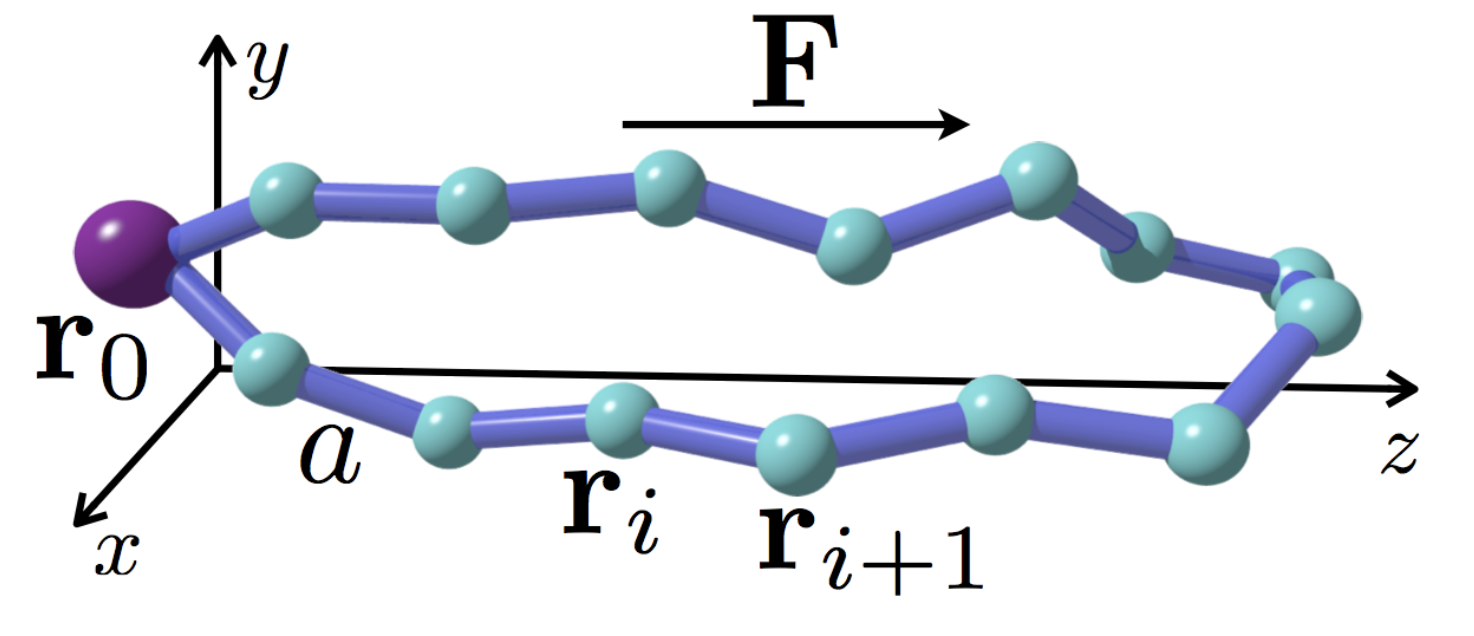 Research â€º Mathematics in Life Sciences